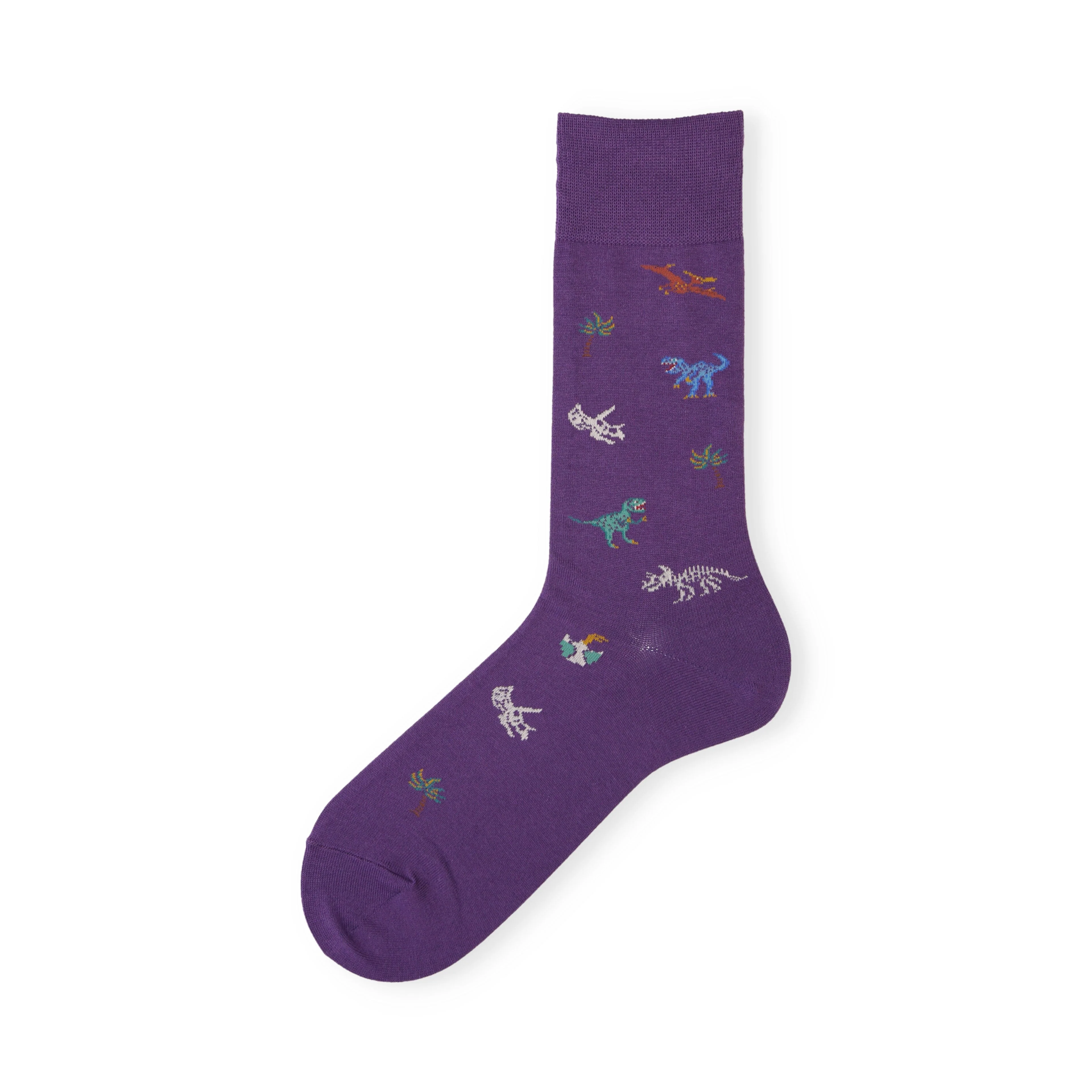 062142085 Dinosaur Pattern Crew Socks L - Image 10